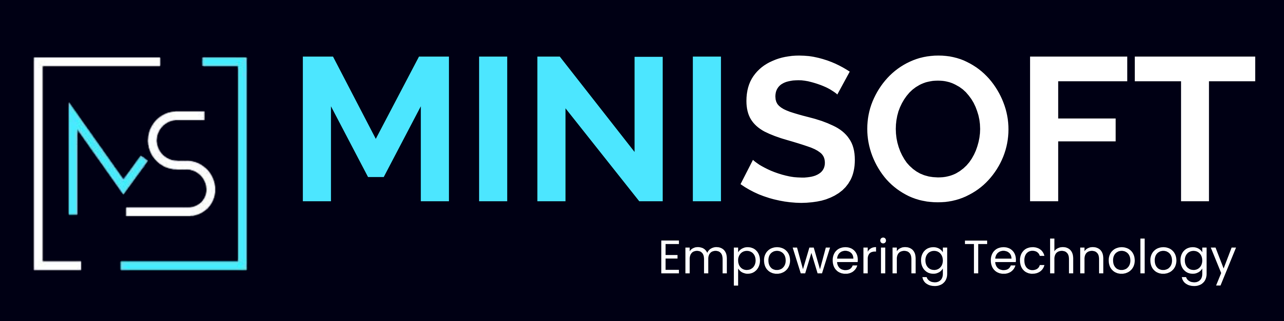 Minisoft Technologies